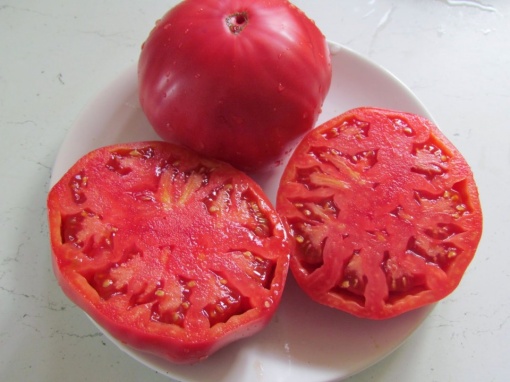 Tomate Rozov Blyan 1 g - Img 2
