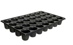 Alveole 32 celule set 100 bc