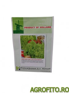 Salata lollo bionda 10 g