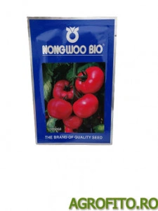 Tomate Pink Lord F1 500 sem