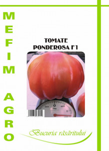 Tomate Ponderosa F1 100 sem