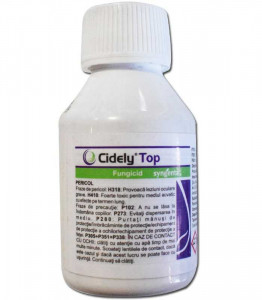 Cidely top 100 ml