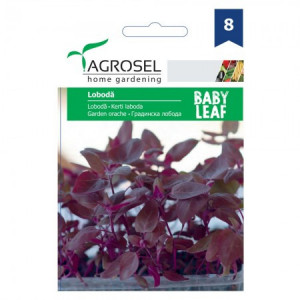 Loboda rosie baby leaf 2g