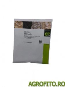 Ridichi escala F1 25.000 sem