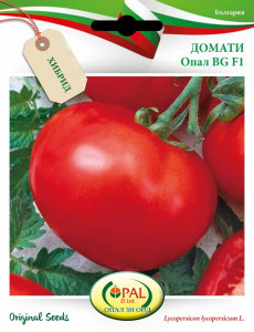 Tomate Opal BG F1 1 gr