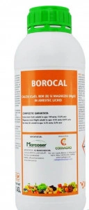 Borocal 1L
