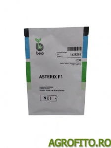 Castraveti Asterix F1 250 sem