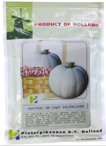 Dovleac valenciano 10 g