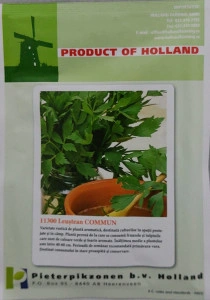 Leustean commun 10 gr