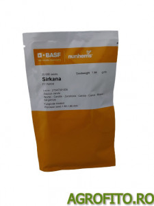 Morcov Sirkana F1 25.000 sem