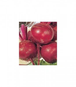 Sfecla Dark red christel 100 g