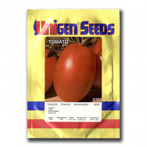 Tomate Big Rio F1 1000 sem