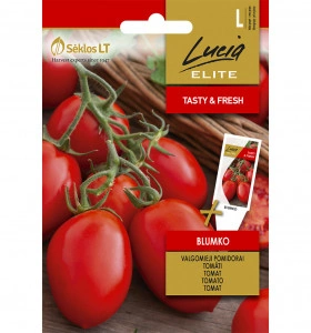 Tomate Blumko 30 sem