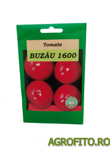 Tomate Buzau 1600 2 g