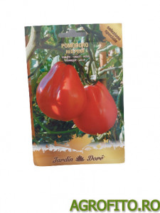 Tomate red pear plic 2 g
