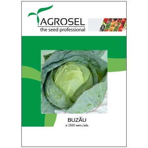 Varza de buzau 25.000 sem