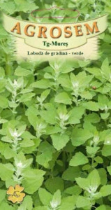 Loboda verde 0,5 g