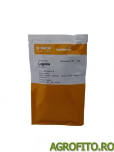 Morcov Laguna F1 25.000 sem