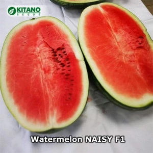 Pepene Naisy F1 50 sem