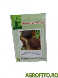 Ridichi negre 50 g holland