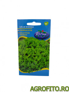 Salata lollo bionda 2 g