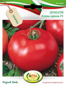 Tomate Elena Prima 1 g