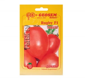 Tomate Rugby 250 sem
