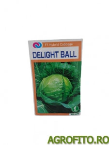 Varza Delight Ball F1 5 gr