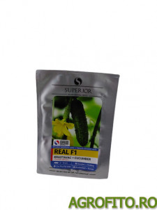 Castraveti Real F1 1 g