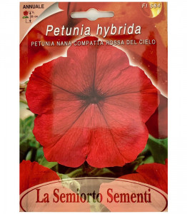 Petunia sky red 200 sem