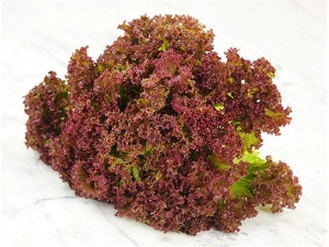 Salata lollo rossa semiorto 8 g