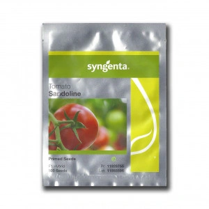 Tomate Sandoline F1 500 sem
