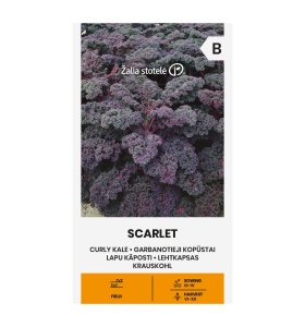 Varza kale Scarlet 0,5 g