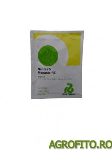 Morcov monanta nantes 5 50 gr