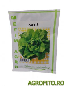 Salata Attraction 50gr