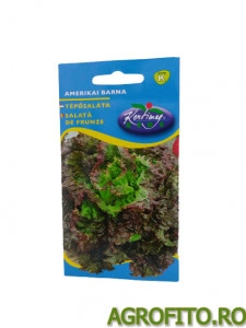 Salata brun american 3 g