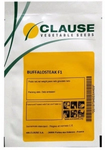 Tomate Buffalosteak F1 250 sem