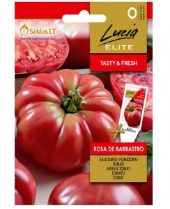 Tomate Rosa de Barbastro 10 sem