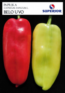 Ardei ureche alba 10 g