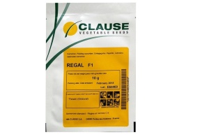 Castraveti Regal F1 10 gr