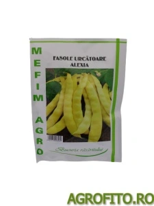Fasole alexia 200 g