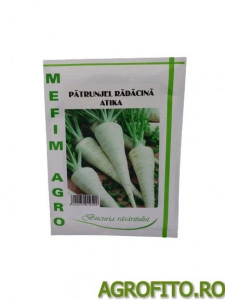 Patrunjel atika 20 gr