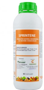 Sprintene 1L