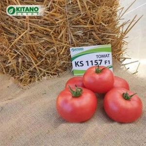 Tomate Honoka F1 200 sem
