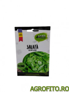 Salata ileana 1 gr