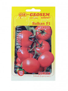Tomate Balkan F1 2500 sem