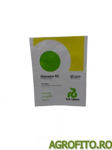 Tomate Giacomo F1 100 sem