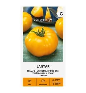 Tomate Jantar 60 sem