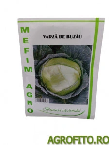 Varza de buzau 30 g