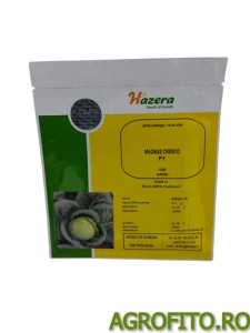 Varza Magnus cresco F1 2500 sem